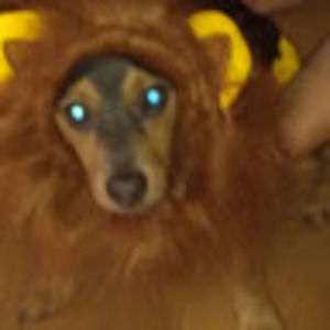 Meet your Posher, Benita